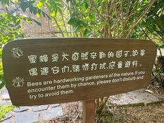 -华侨城湿地公园