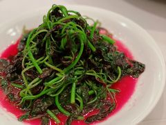 红苋菜-同庆楼(大钟寺店)
