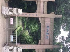 -镇江市南山风景名胜区竹林景区