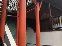 -中国福利会少年宫