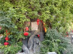 -大槐树寻根祭祖园