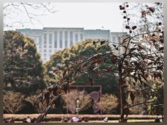 -人民公园-相亲角