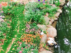 -上海共青森林公园