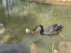 -济南野生动物世界