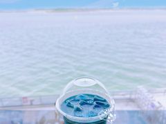 -抱抱地球咖啡馆(国家海洋博物馆店)