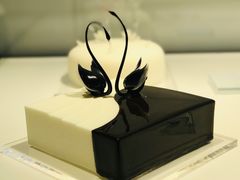 -BLACKSWAN黑天鹅(环球店)