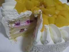 -维尔纳斯·生日蛋糕·动物奶油冰淇淋蛋糕(六里桥店)