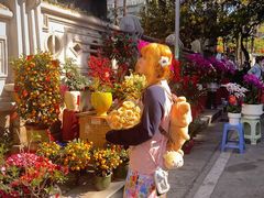 -溪岸路花鸟市场