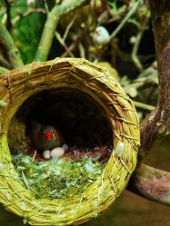 -Zoolung Zoolung动物主题公园(海信广场店)