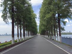 -东湖落雁景区
