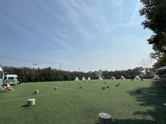 -上海海湾国家森林公园