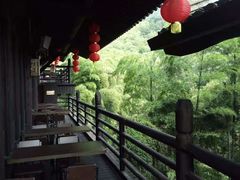 -大唐贡茶院