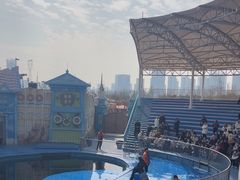 -华夏文旅海洋公园