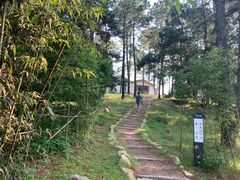 -竹上云想餐厅民宿