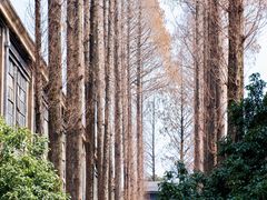 -南京晨光1865创意产业园