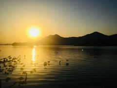 -茗醉园茶楼