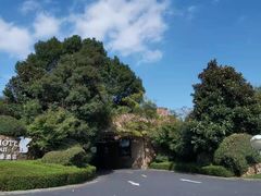 -浙江安吉JW万豪酒店·万豪中餐厅