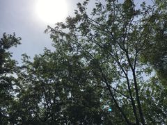 -石家庄市植物园