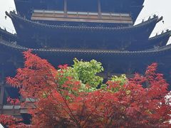 -杭州半山国家森林公园