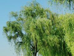 -幕燕滨江·燕子矶公园