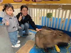 -廊坊固安福朋喜来登酒店