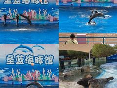 -北戴河圣蓝海洋公园