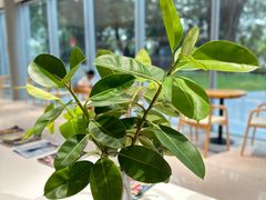 -木嘛working coffee&bar(碧道馆店)