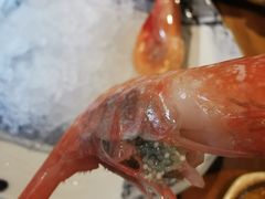 甜虾-和彩放题(渔阳店)