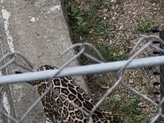 -石家庄市动物园