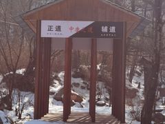 -青峰峡国家森林公园