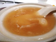 -新同乐鱼翅酒家(美丽华店)