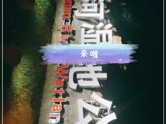 -尚贤河湿地