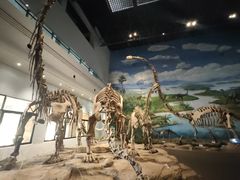 -自贡恐龙博物馆