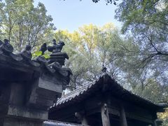 -井塘古村