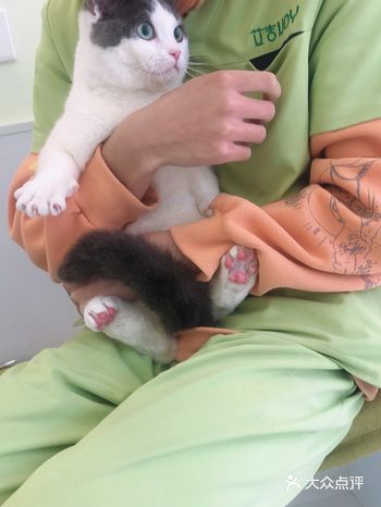 今天带猫咪来艾吉洗澡了