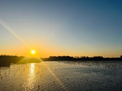 -上海海湾国家森林公园