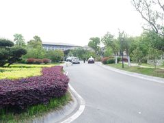 -太湖饭店玉兰厅(自助餐厅)