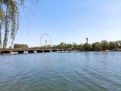 -白浪绿洲湿地公园