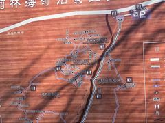 -汤旺河林海奇石景区