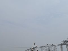 -金卉庄园