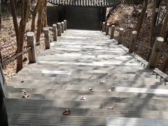 -窦圌山风景区