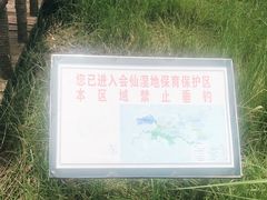 -会仙湿地