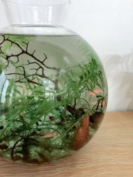 -尔素·半永久纹眉·野生眉