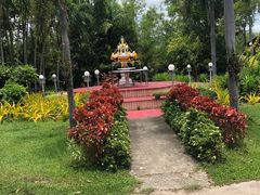-绿光森林餐厅