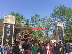 -曹州牡丹园