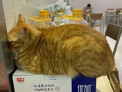 -玉华饮食店(茅台路店)