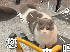 -seeu coffee(江滩店)