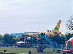 -苏州太湖西山岛开心农场