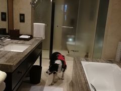 -上海崇明金茂凯悦酒店