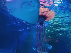 -沈阳海洋探索中心